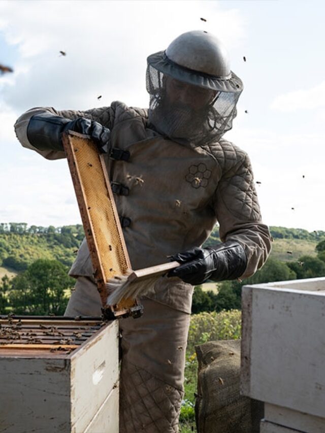 Um homem que trabalha disfarçado cuidando de abelhas guarda um segredo curioso