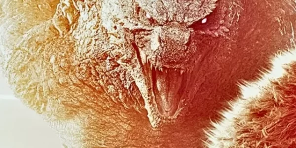 cropped-Godzilla-X-Kong-Revisao-do-Novo-Imperio-Filme-Comentado-1.webp