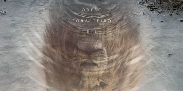 mufasa-o-rei-leao-1